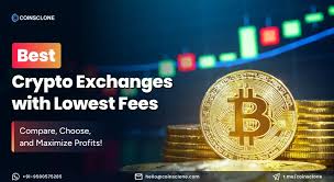 Cryptocurrency Exchanges