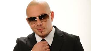 pitbull net worth